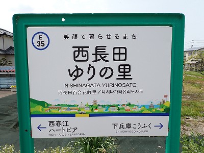 �����c���̗��w�摜