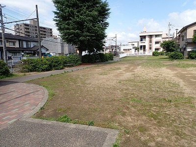 ���ʉ@�w�摜