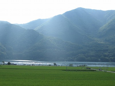 水田と木崎湖