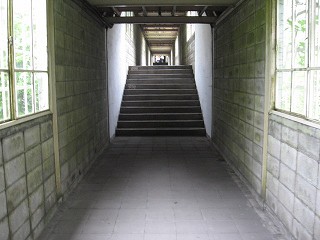 最後の階段