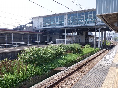 �Z�����w�摜