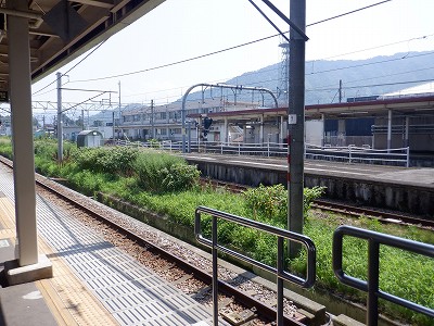 �Z�����w�摜