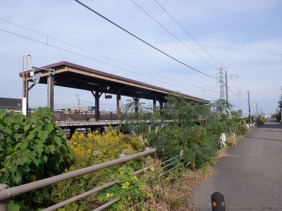 tRw摜