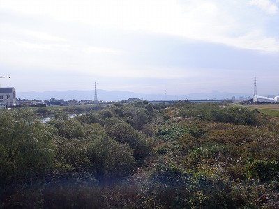 tRw摜