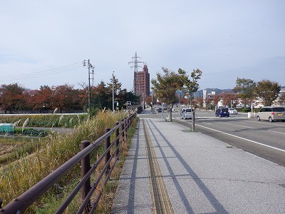 tRw摜