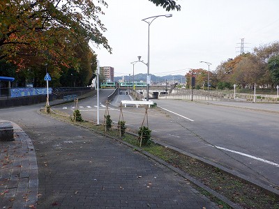 tRw摜