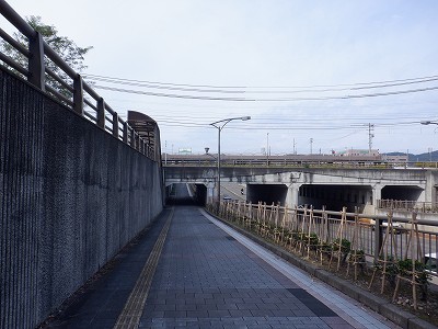 tRw摜