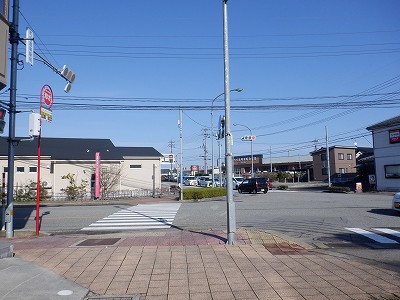 �a�q����w�摜