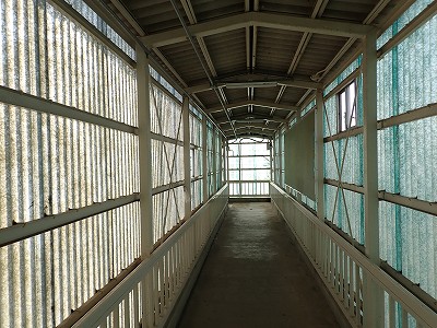 �{�Ô��w�摜