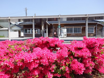 �{�Ô��w�摜