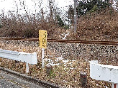 Hw摜