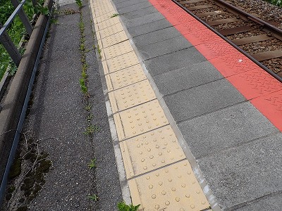 �\�o��{�w�摜