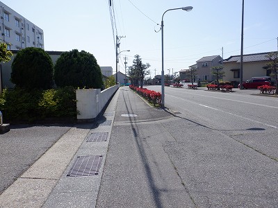 �����w�摜