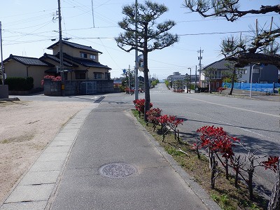 �����w�摜