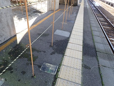 �F��C�w�摜