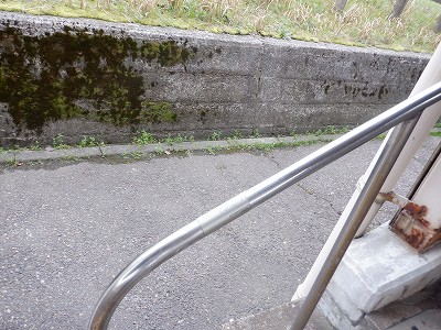 �F��C�w�摜