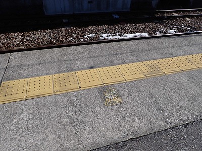 �F��C�w�摜