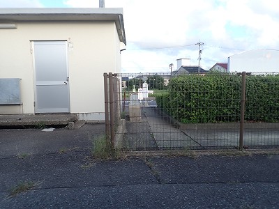 �F��C�w�摜