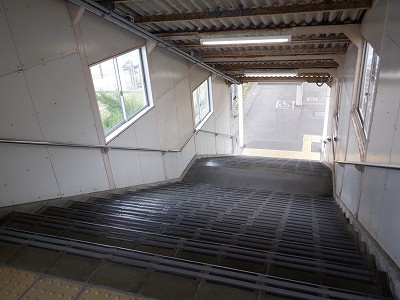 �F��C�w�摜