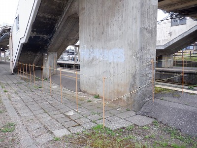 �F��C�w�摜