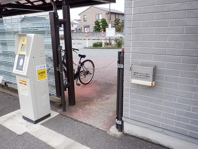 �F��C�w�摜