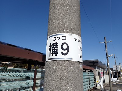 �F��C�w�摜