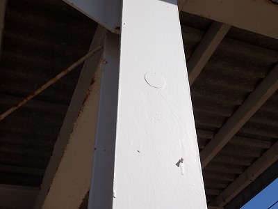 �F��C�w�摜