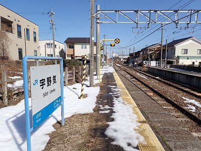 �F��C�w�摜