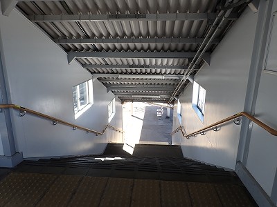 �F��C�w�摜