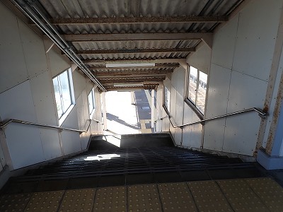 �F��C�w�摜