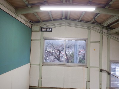ǐw摜