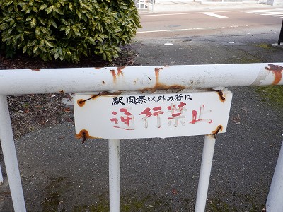 ǐw摜