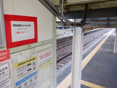 ǐw摜