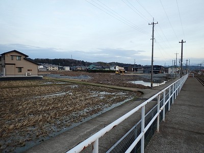 �\���w�摜