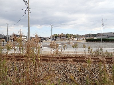 �\���w�摜