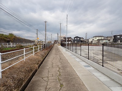 �\���w�摜