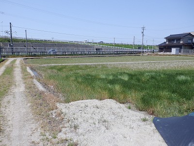 �\���w�摜