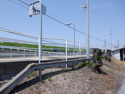 �\���w�摜