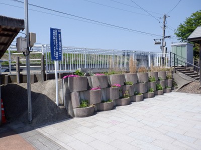 �\���w�摜