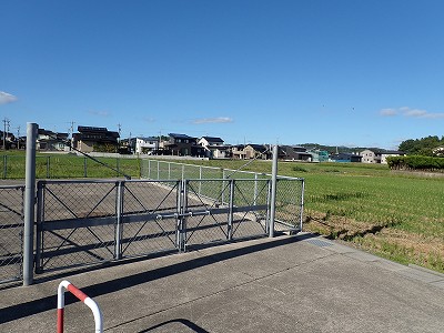 �\���w�摜