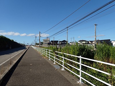 �\���w�摜