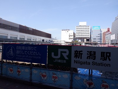 �V���w�摜