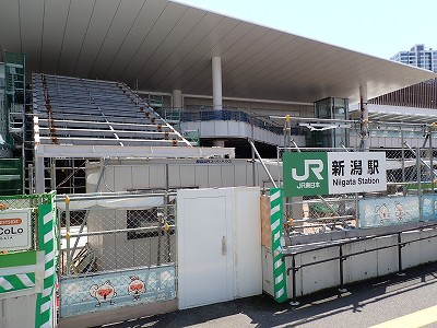 �V���w�摜