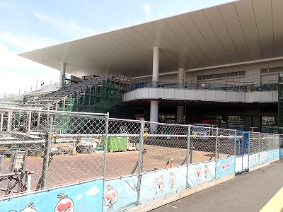 �V���w�摜