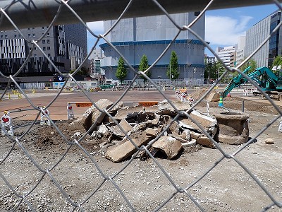 �V���w�摜