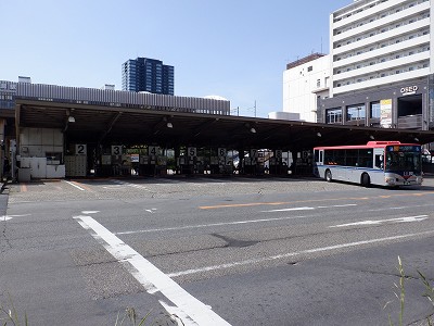 �V���w�摜