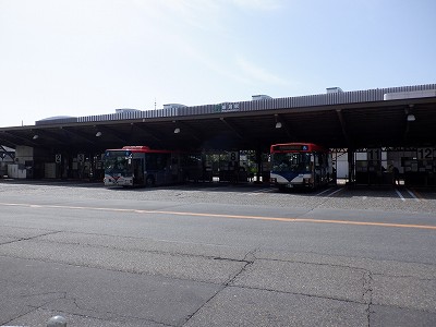 �V���w�摜