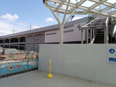 �V���w�摜