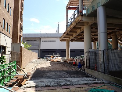 �V���w�摜