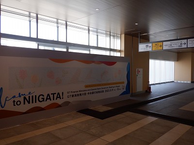 �V���w�摜